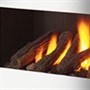 Black Fireback